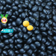 �S�ĺڶ���؛��������s�Z���D������Ʒ�N�Sо�S�ʺ�С�����ݴּZ