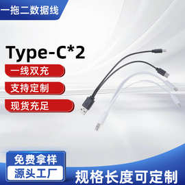 20公分一拖二USB转type-c两面充电