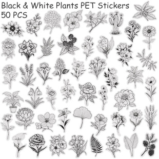 �羳�¿�50���ڰ�ֲ��PET͸���N����������X�֙Cdiy�b�ˮ�N��