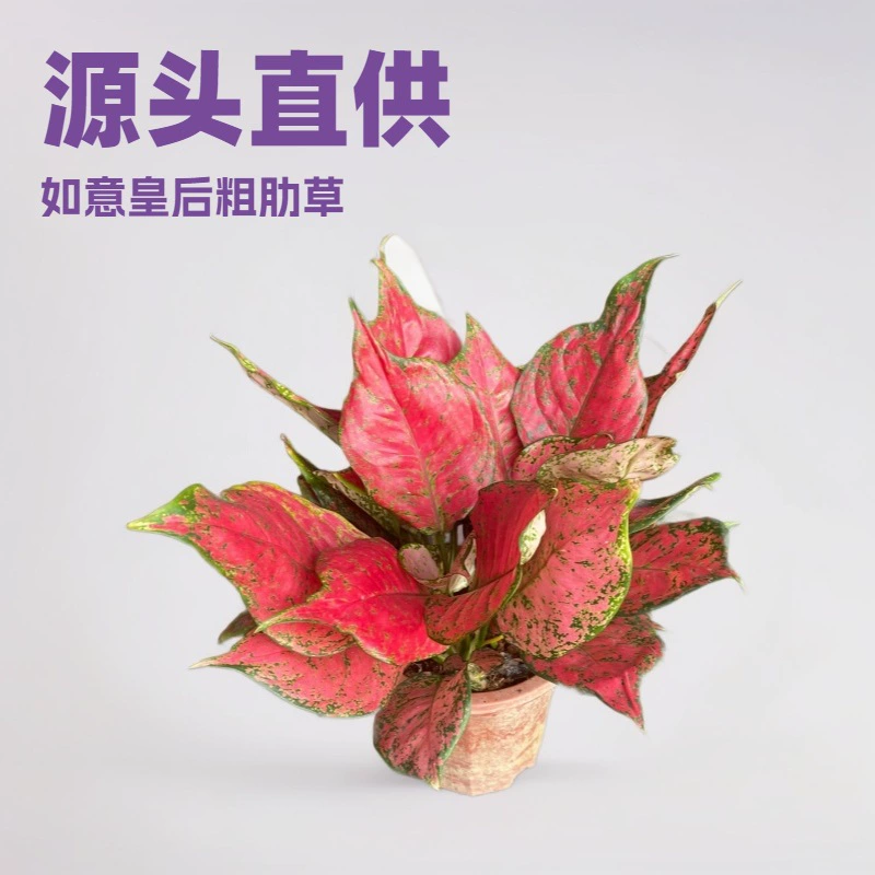 База предназначена для офиса