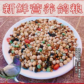 鸟食;其他小宠用品;仓鼠主粮