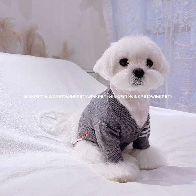 개 가을 겨울 의류 스웨터 가디건 비숑 프리즈 프렌치 두 슈나우저 포메라니안 소형견 고양이 애완동물 의류 트렌드 브랜드