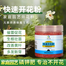 快速开花粉催花素生根粉壮苗三角梅茶花茉莉盆栽通用园艺养花家用