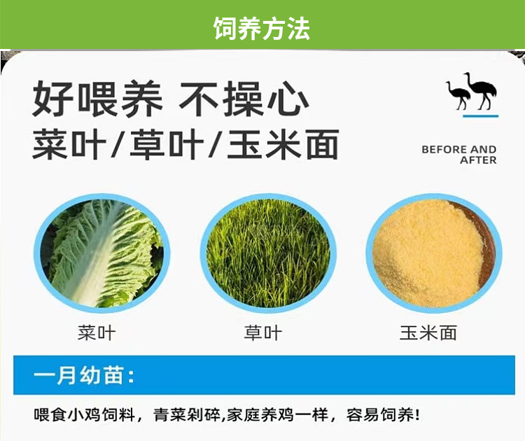 O1CN01B0tBnD1k00e2DjaYV_!!3564