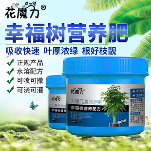 �Ҹ������Ԍ��àI�B�ʲ˶���ţβľ�辰ͥԺ�^�~ֲ���B���ļ�����