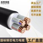国标铜芯电线34芯电缆线6 1016 25 35平方充电桩电源三相四线