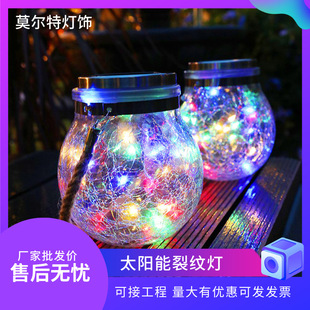 Сҹ���Ѽy���W̫����������ͥԺ�b��¿�÷ɭ�޿羳�Wʽ�W�t
