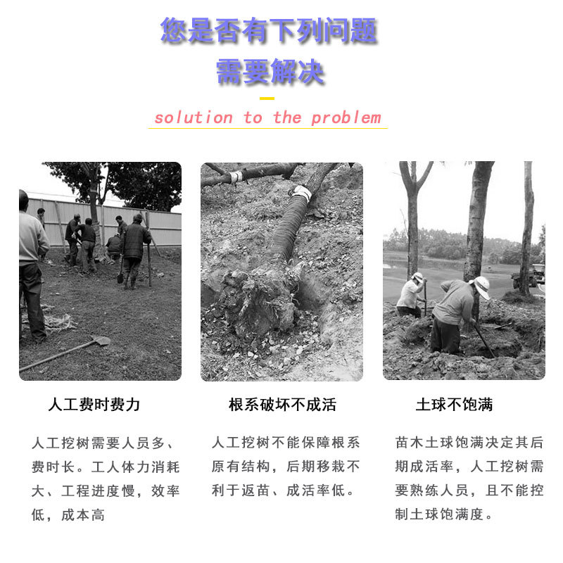 人工挖樹弊端.jpg