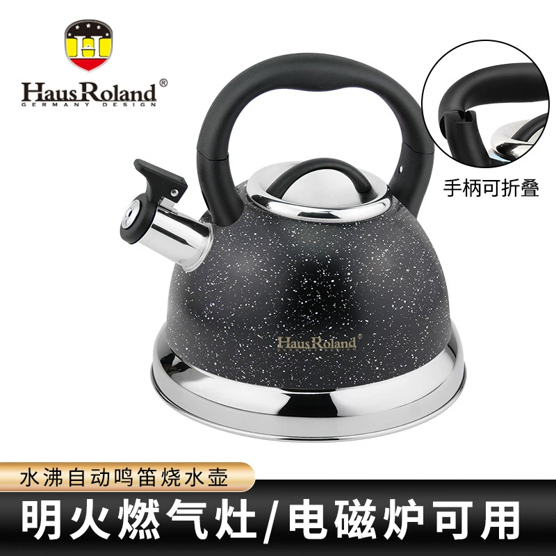 Чайник Hausroland из нержавеющей стали, 3 объёма