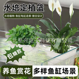 阳台种菜盆专用 水培定植篮 种菜盆阳台 家用种植杯 龟缸造景配件