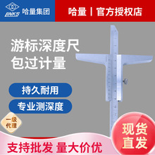 哈量高精度深度游标卡尺工业级高品质正品数显深度卡尺带表0-300
