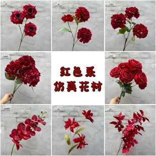 �tɫϵ���滨��Y���û�������bٻ����컨�Ƽtɫõ�彑�����l