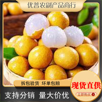 ̩���������r�M�ڹ��A����ˮ����ʯ���ЋD�Fժ���������]����