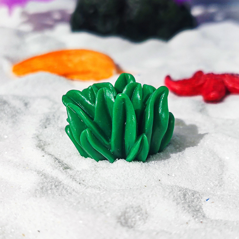 Mini acuario de coral popular, paisajismo, plantas acuáticas Little Red Book, estrellas de mar, peces y camarones, paisaje en miniatura, paquete pequeño, micropaisaje