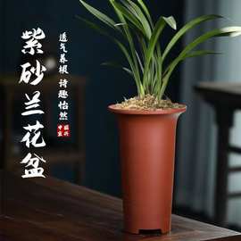 兰花专用盆紫砂盆大全特价厂家清仓紫砂盆景花瓶多肉花盆