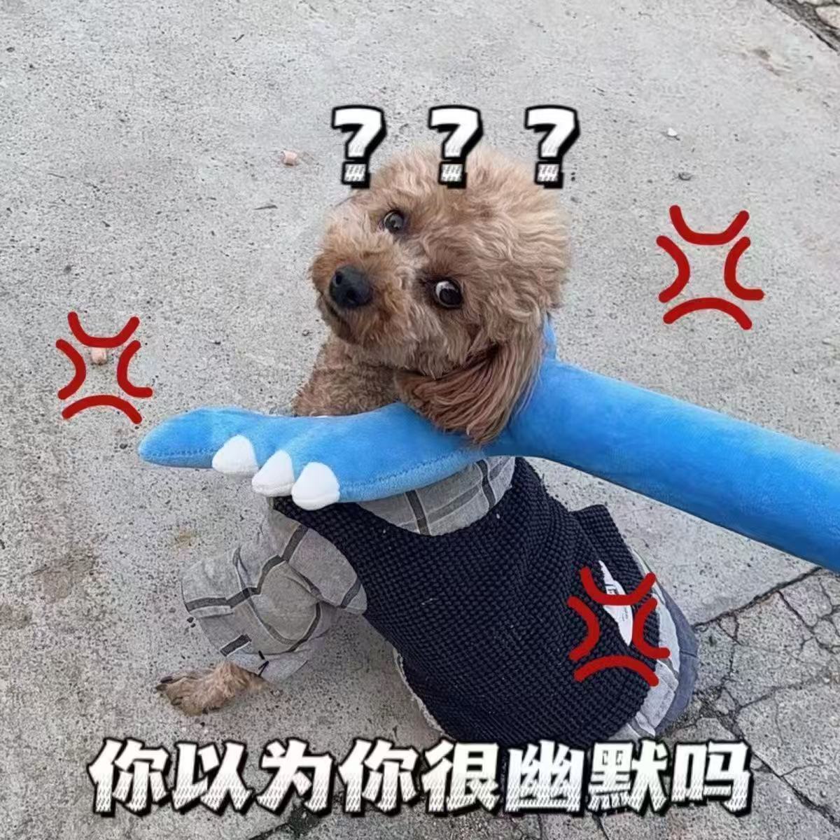 微信图片_2025-08-17_130741_307