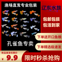 ���B�Ꭷ�Pβ���N���~���~�^�p�~���w��ȸ�~С��̥�����R��ˮ�ͻ�