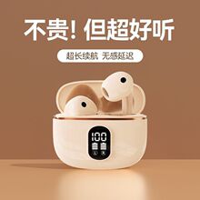 2025�¿����ʽ�{�����C�o���������������|���L�m�����R�d