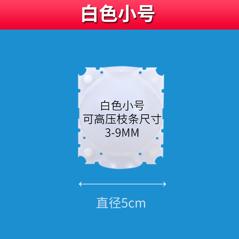 Trompeta transparente