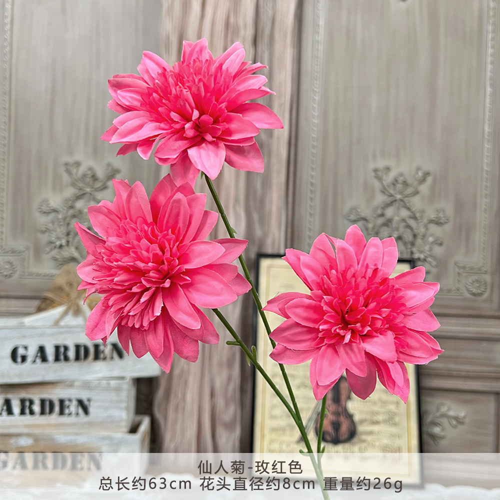 GZH-กระบองเพชร สีแดงกุหลาบ
