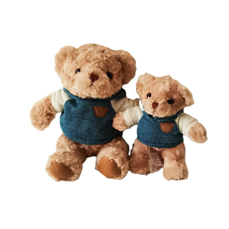 Suéter oso de peluche muñeca abrazo oso con capucha oso muñeca peluche juguete niños Ragdoll cumpleaños regalo lote