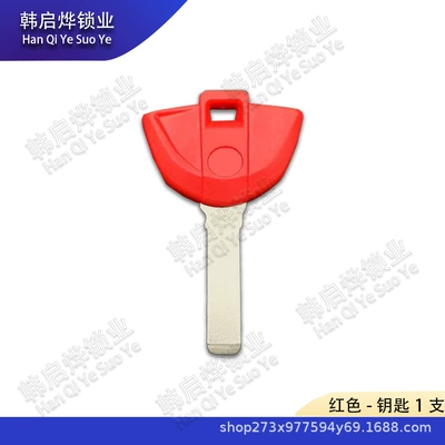 Key Embryo Chip Lock | Motorcycle Key