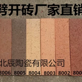 地面砖;外墙砖;其他瓷砖