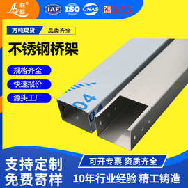 304/201不锈钢电缆桥架大跨距槽式/梯式耐腐蚀走线槽厂家直供定制
