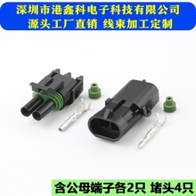 汽车国产德尔福插头DJ3021Y-2.5-11/21 国产12010973 (12015792)