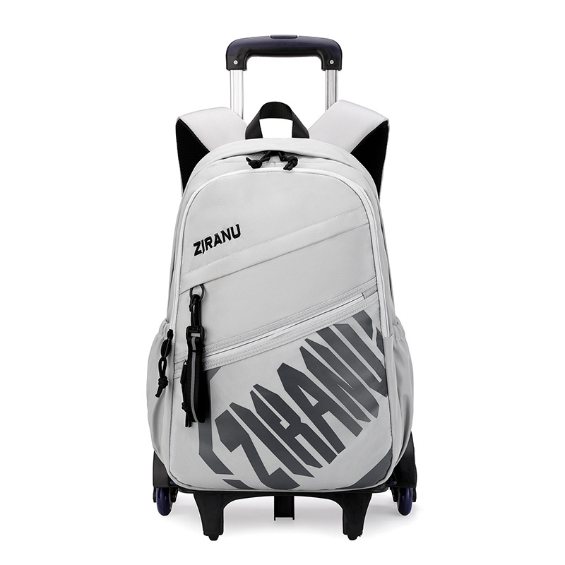 Mochila de pescado natural para niños de grado 3 - 6 con ruedas para subir escaleras, mochila de secundaria secundaria