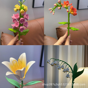 �羳����С�w��ƴ��eľ������ƴ�bõ�������r�����������eľ2026