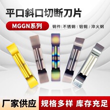 �����Д��в۵�ƬMGGN300ƽ�^б�ڲ��P䓼�܇��mggn200/400���