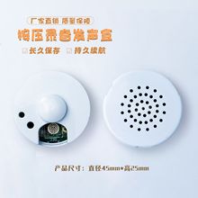 玩偶内置录音盒30秒音频播放自制玩偶录音播发机芯组件批发