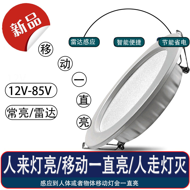12V24V36 Volt Light Source Led Wick Low Voltage Downlight Embedded Voice Controlled Human Body Radar Sensor Microwave Dc