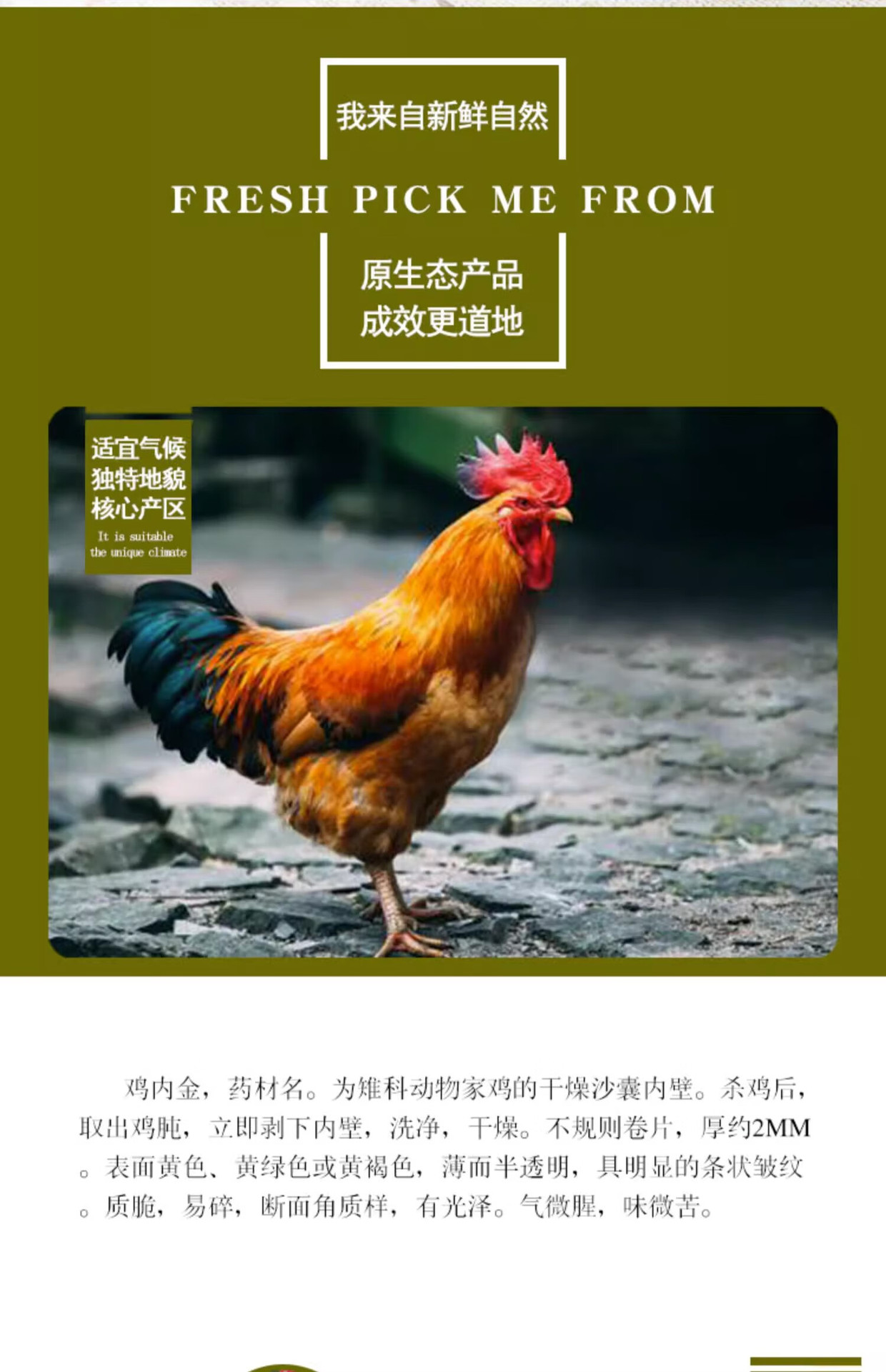 Chicken Gizzard Membrane Ji Nei Jin 鸡内金 Dried Farm-Raised 500g Traditional Herbal Ingredient key features