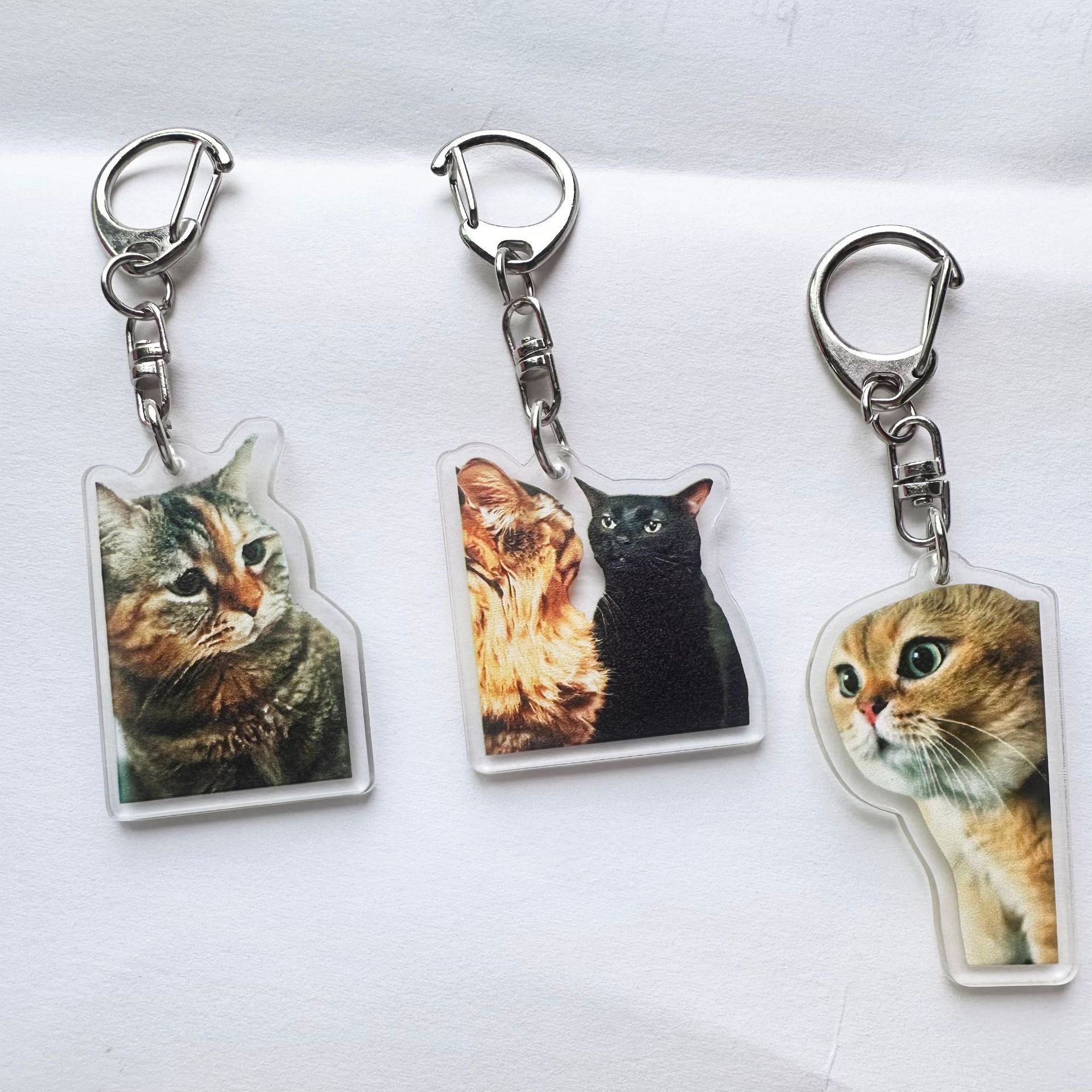 Colgar adornos Amazon popularidad en línea gatos gatos acrílicos llaveros escultura de arena interesante memes gatos gatos pequeños