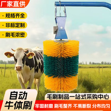 自动牛体刷畜牧专用清洁毛刷蹭痒滚刷旋转毛刷辊全自动挠痒痒定制