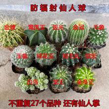 ����ֲ�����������������ԽM���_�������[�P��p�����ݗ��Gֲ