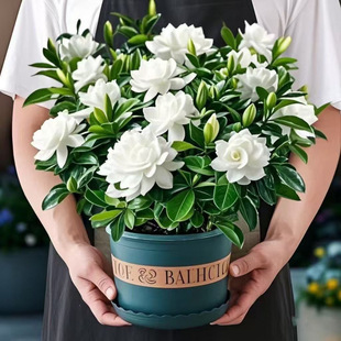 �d�ӻ����������ʹ����҃ȃ����՚��ļ������_��ĵ�����ܾGֲֲ��