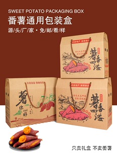 5��10���b�t�����b�������Y�з����ع����������������b�伈����
