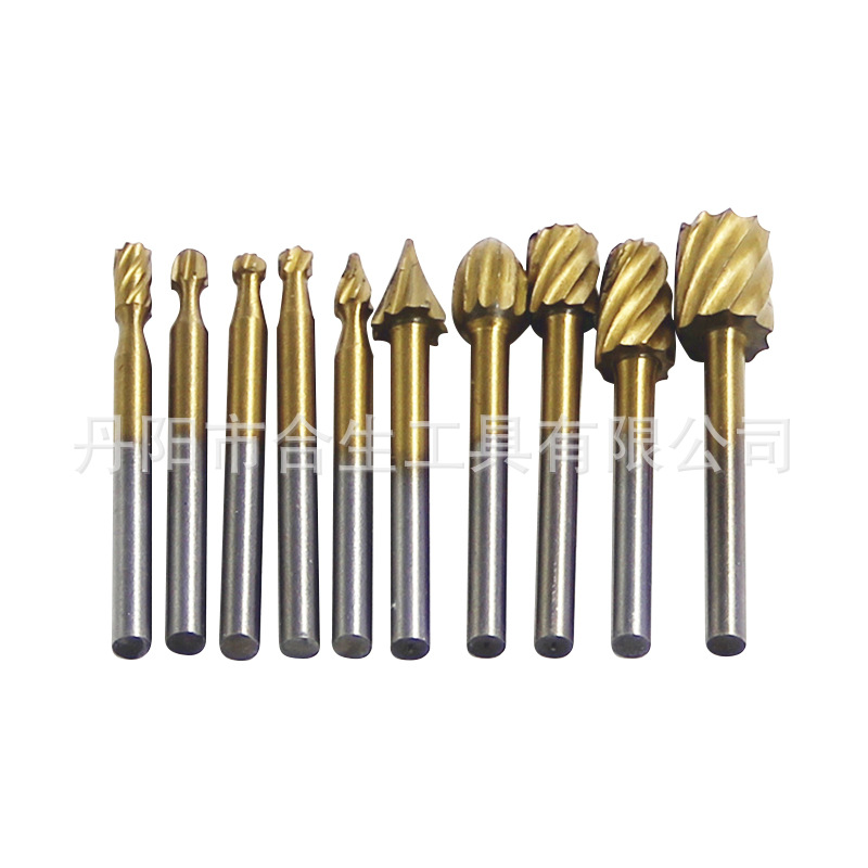 10pc镀钛旋转锉-(1)
