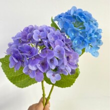 �羳���N��֦3D���~������滨��c�Y�ò������͈@ˇ�bٻ����l