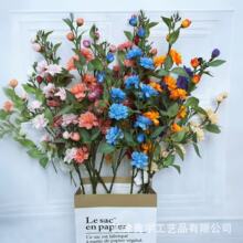 2��ɽ�軨 �軨���滨�[�����l��c�Ҿ��b��ɽ�軨