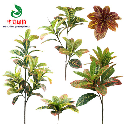 simulation Green plant Green leaf Botany Discoloration of wood Multicolored Codiaeum variegatum Potted plant Green plant Plastic flowers Green leaf