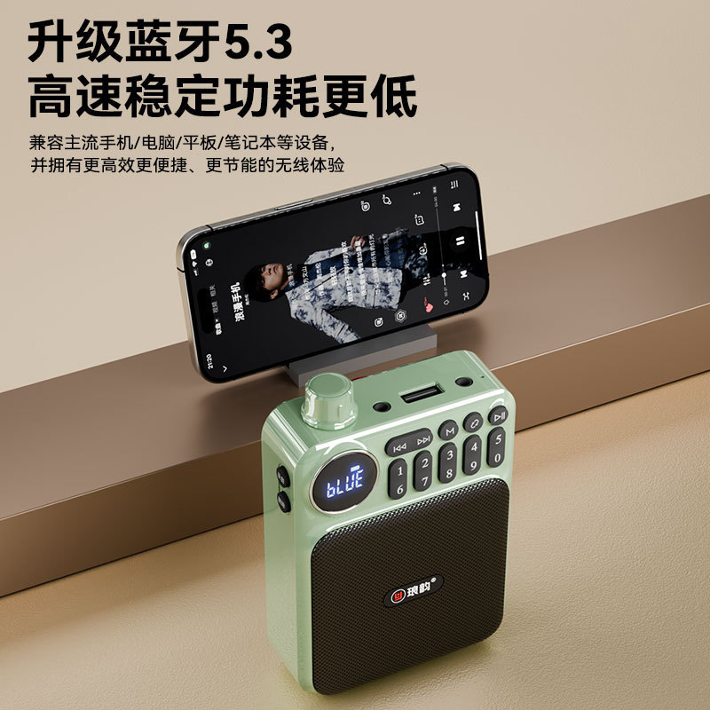 Langyun C75 Bluetooth カードオーディオラジオ高齢者ウォークマンミニポータブルプレーヤー充電式|undefined