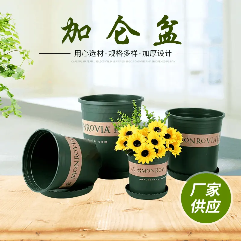 高加仑花盆 阳台种花种菜花盆 塑料花盆 绿萝多肉育苗盆