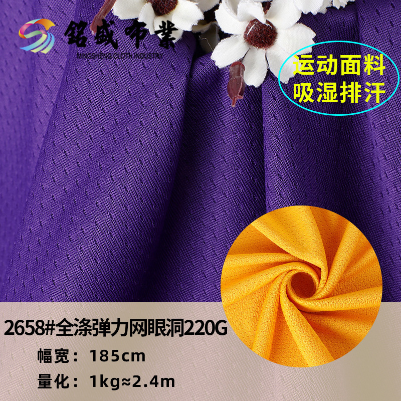 全涤网眼洞布220g 全涤透气球衣运动装时尚速干针织鸟眼布休闲服