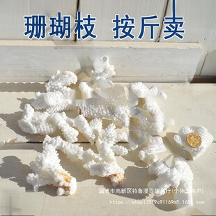 ��Ȼɺ��ʯ����ؐ����ɺ����֦�~�׵ײ��b�䁵׵�̨�b�