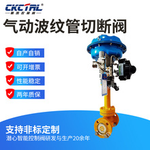 �Ț�Һ�Ȍ��Ú�Ӳ��y���Д��y ���ϺϽ�HC276 DN25 DN50�� �S��