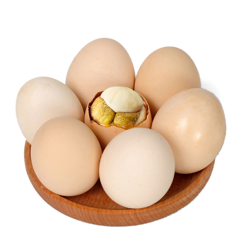 活珠子新鲜13天活珠子鸡胚蛋土鸡半喜蛋钢化蛋毛鸡蛋即食五香香辣|undefined